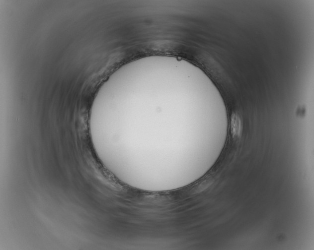 X0000112731107200909101444