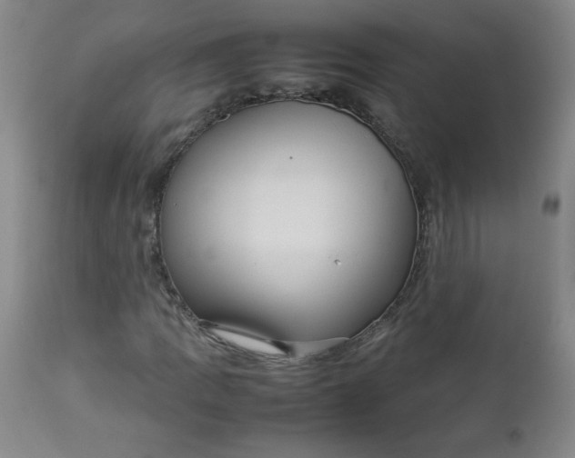 X0000112731109200909101444