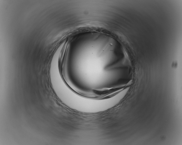 X0000112731110200909101444