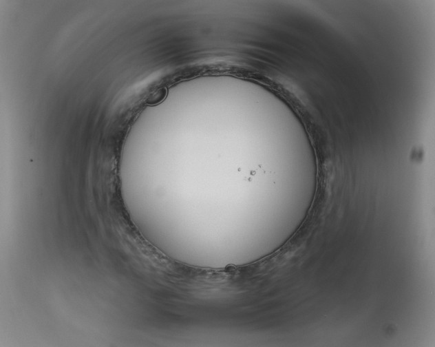 X0000112731111200909101444