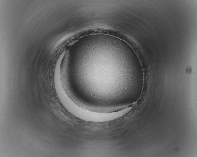 X0000112731112200909101444