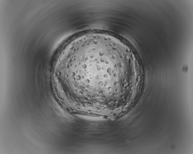 X0000112731115200909101444