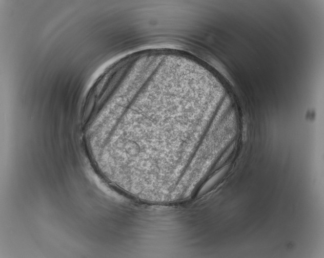 X0000112731116200909101444