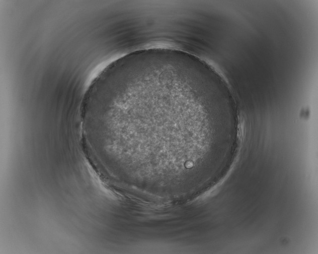 X0000112731117200909101444