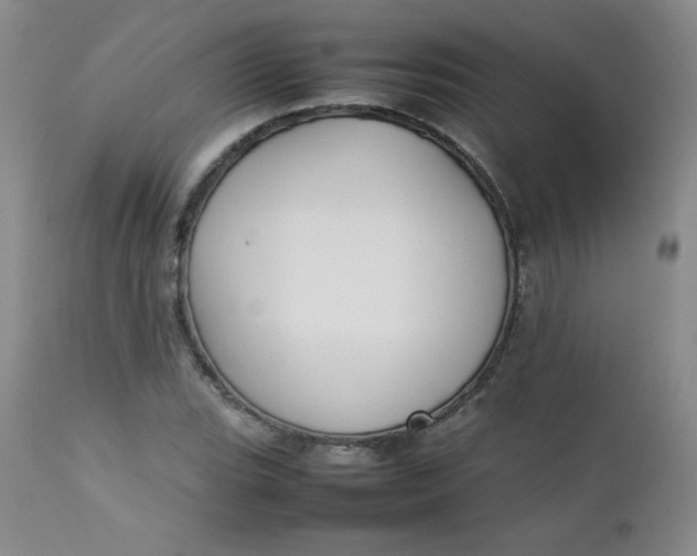 X0000112731119200909101444