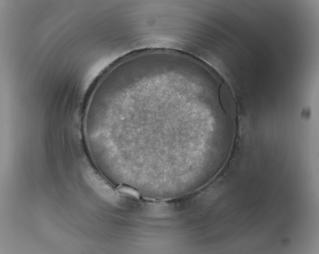 X0000112731120200909101444