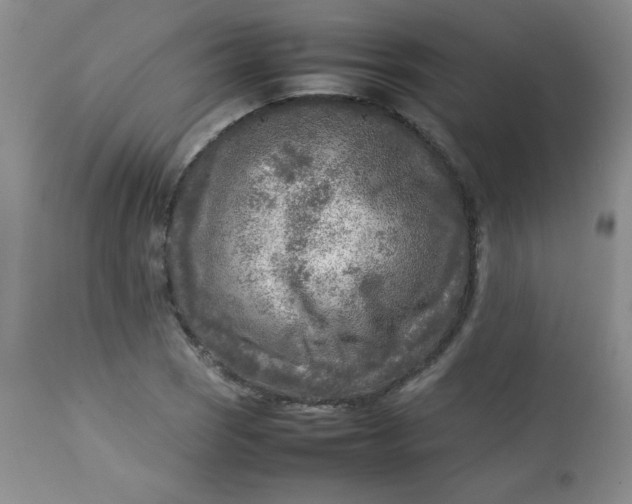 X0000112731121200909101445