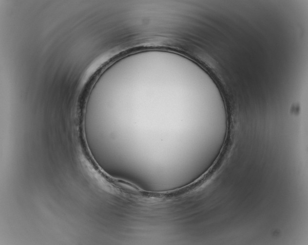 X0000112731122200909101445