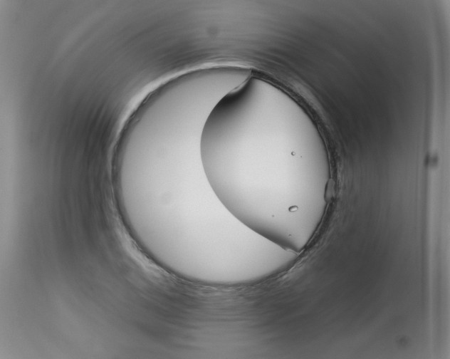 X0000112731124200909101445