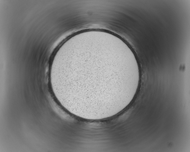 X0000112731126200909101445