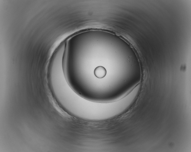 X0000112731128200909101445