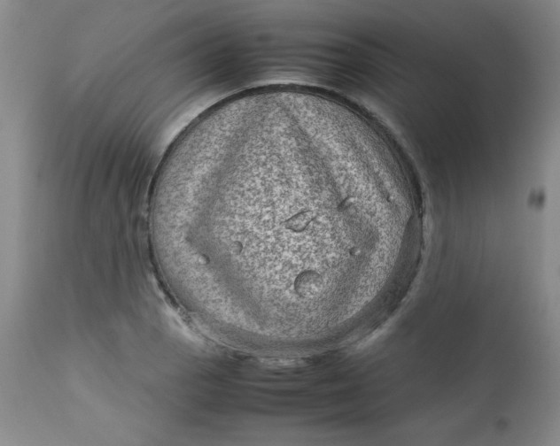 X0000112731129200909101445