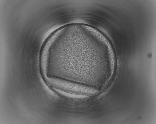 X0000112731133200909101445