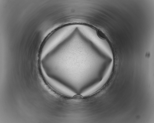 X0000112731134200909101445