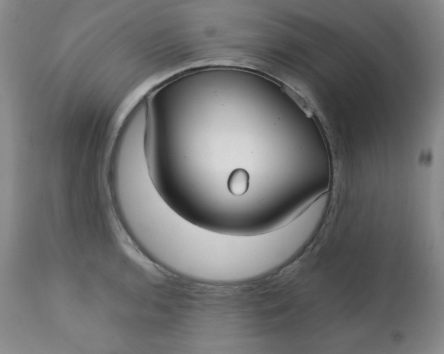 X0000112731136200909101445