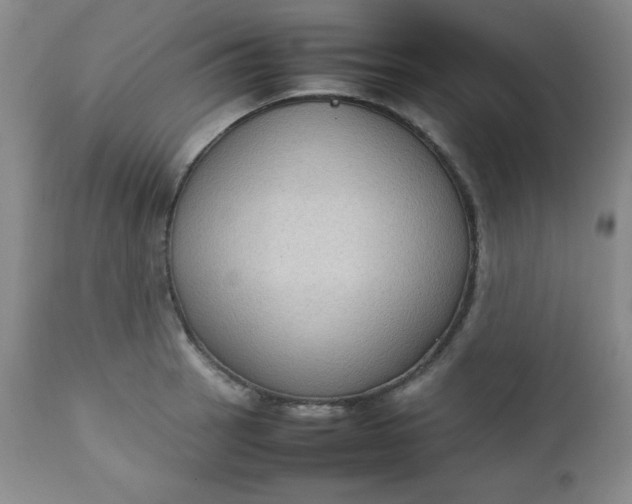 X0000112731137200909101445