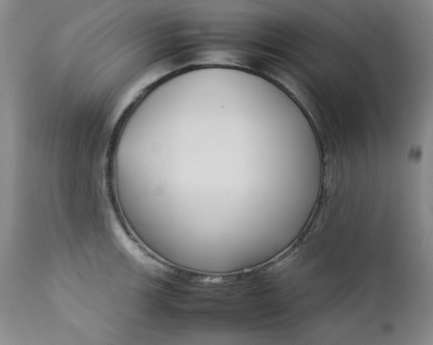 X0000112731139200909101445