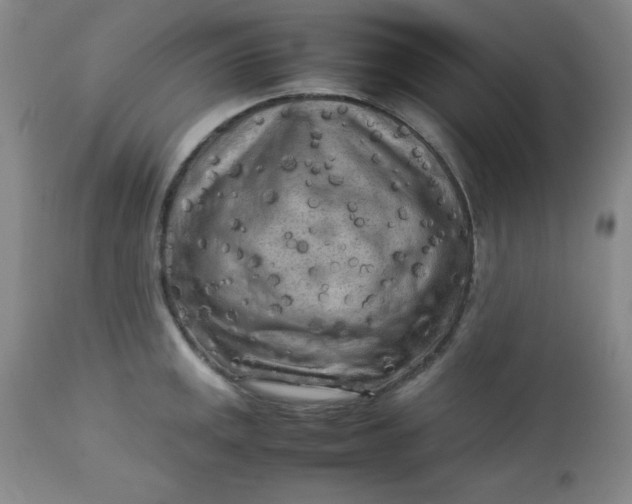 X0000112731141200909101445