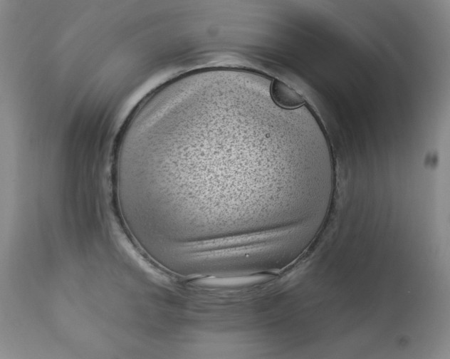 X0000112731142200909101445