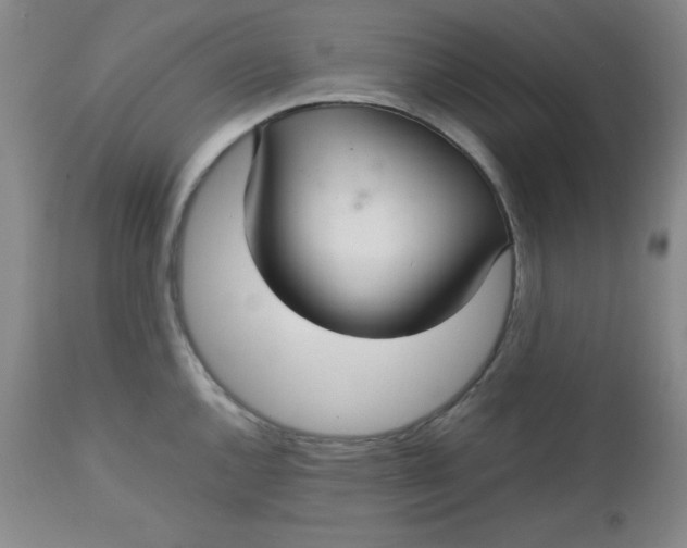 X0000112731144200909101445