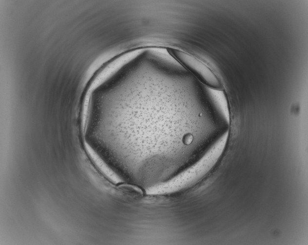 X0000112731146200909101445