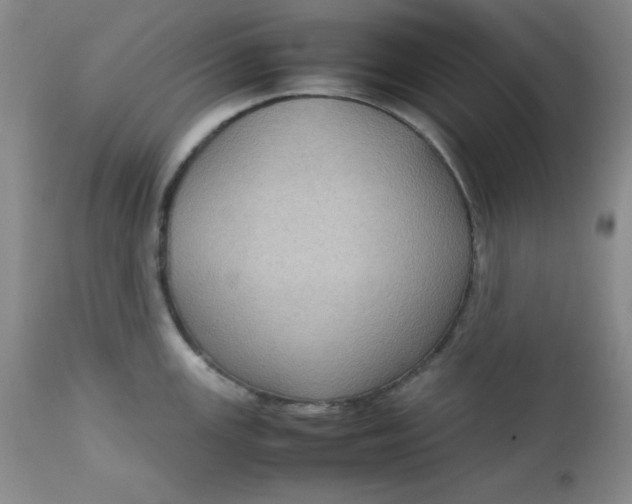 X0000112731147200909101445