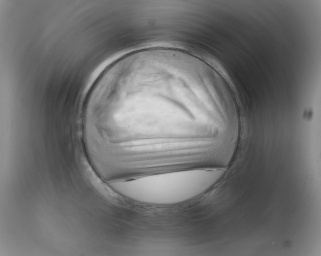 X0000112731148200909101445