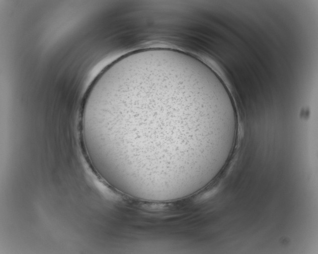 X0000112731149200909101445