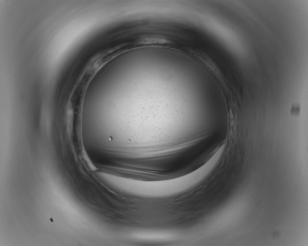 X0000112731151200909101445