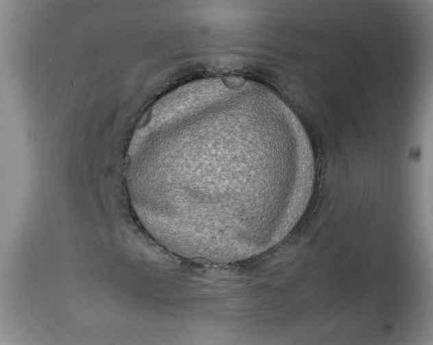 X0000112731153200909101444