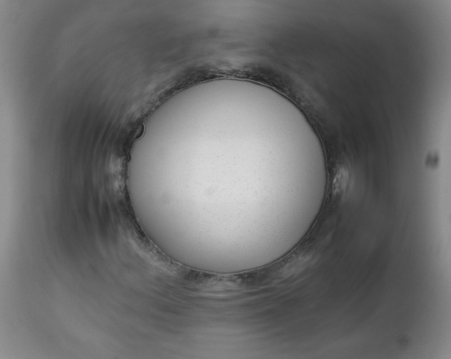 X0000112731156200909101444