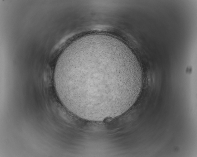 X0000112731158200909101444