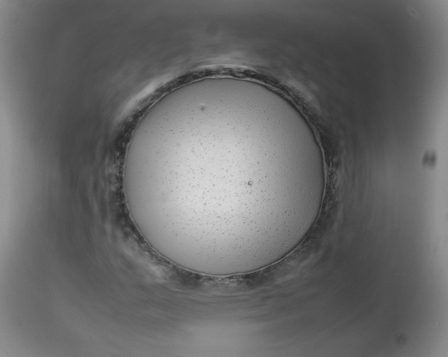 X0000112731159200909101444