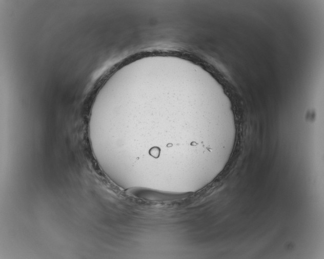 X0000112731160200909101444