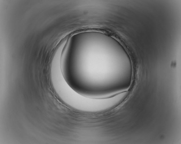 X0000112731161200909101444