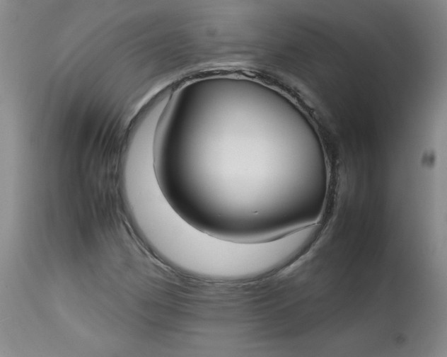 X0000112731162200909101444