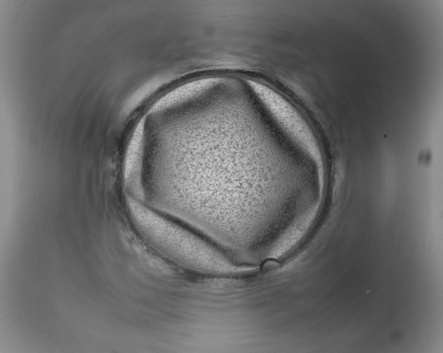 X0000112731163200909101444