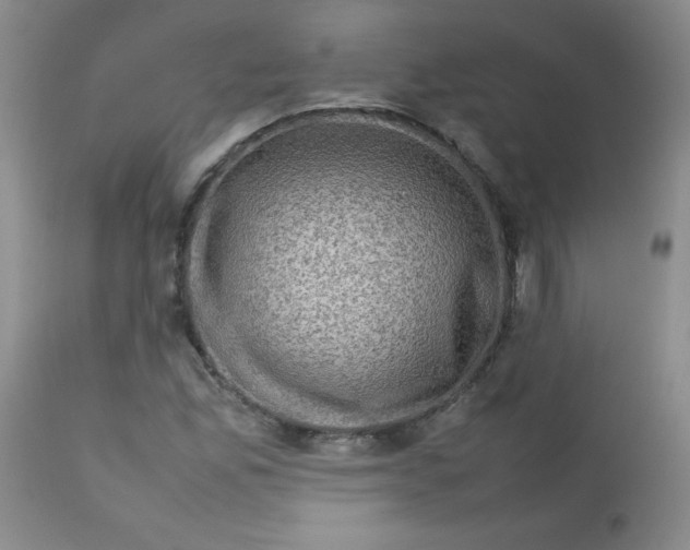 X0000112731165200909101444