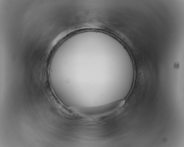 X0000112731168200909101444