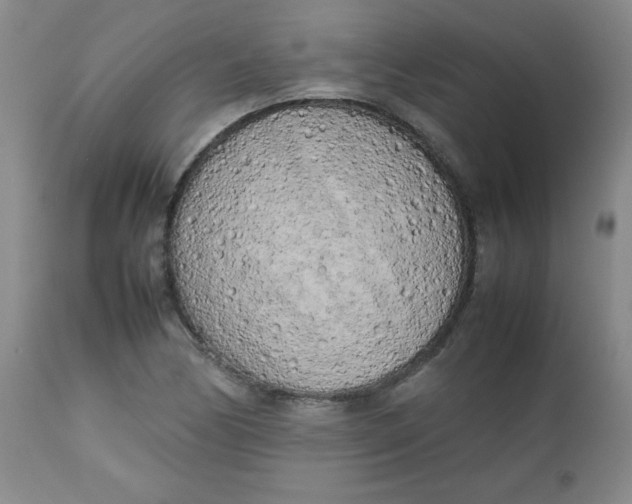 X0000112731170200909101444