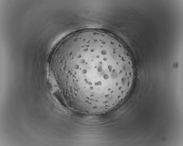 X0000112731171200909101444