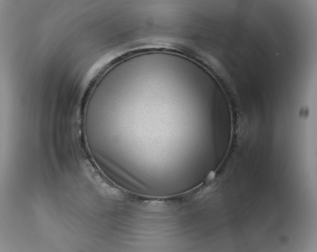 X0000112731172200909101444