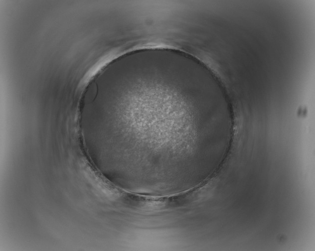 X0000112731173200909101444