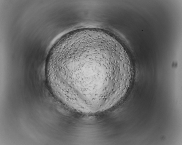 X0000112731174200909101444