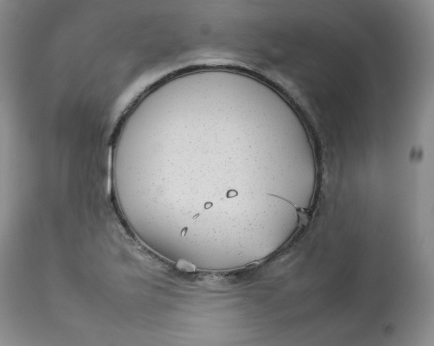 X0000112731175200909101444