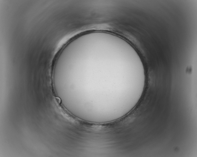 X0000112731176200909101444