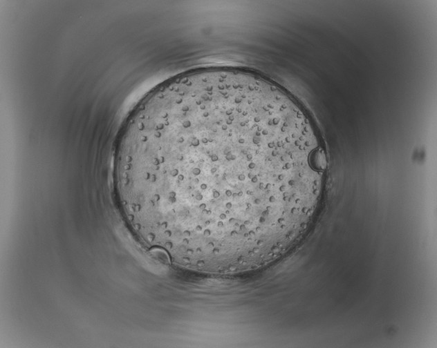 X0000112731179200909101444