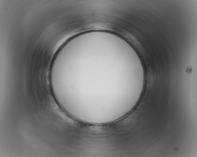 X0000112731182200909101444