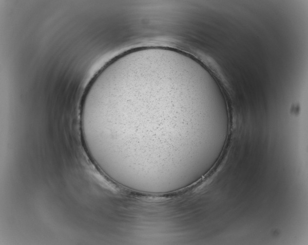 X0000112731184200909101444