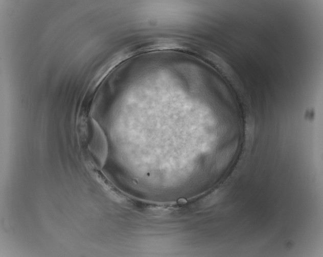 X0000112731185200909101444